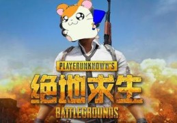 仓鼠直播技巧,仓鼠直播技巧教程