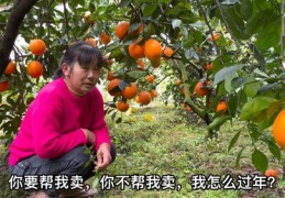 直播卖水果的好方法和技巧,直播卖水果的好方法和技巧是什么