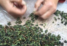 茶叶直播卖茶技巧,做直播卖茶叶挣钱吗