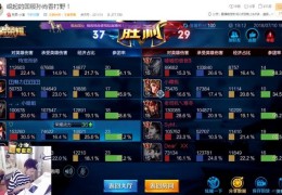 直播打野玩法技巧大全,直播 打野