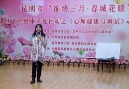 直播调试技巧视频,直播视频调试教程
