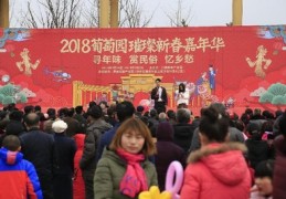 庙会直播技巧视频,庙会主持