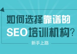 seo网站培训优化怎么做,seo网站优化培训班