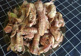 皮皮虾上热门的秘诀揭秘