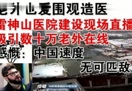 雷神山直播技巧,雷神山进度直播