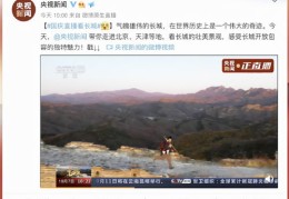 国庆直播技巧视频,国庆节现厂直播