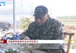 种花技巧直播间,直播花卉怎么做,要说些什么