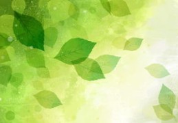 上热门素材图片底色更换指南