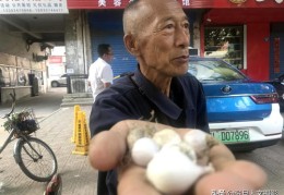 摆地摊赚钱秘籍，如何上热门与高效卖货攻略