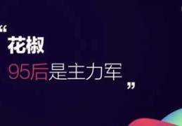 花椒直播特效技巧详解，特效运用指南与技巧分享