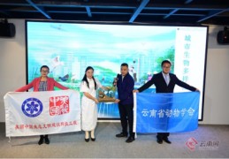 怎么学会直播变身技巧,在直播的时候怎么变声