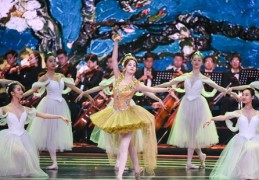 跳专业舞蹈如何成为热门焦点