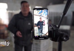 包含直播销售乌龟技巧的词条