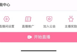 游戏语音直播技巧教程,游戏主播语音用什么软件