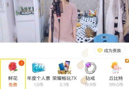 yy新手直播语言技巧,yy新手直播详细教程