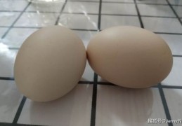 直播鸡蛋剥壳技巧,生鸡蛋剥壳是怎么剥的?