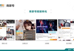 快手付费推广视频上热门攻略