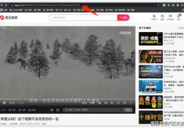 西瓜手机直播技巧,西瓜手机直播技巧大全