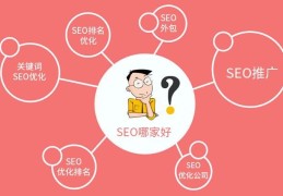 seo关键词推广,seo关键词推广平台哪个好