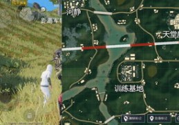 训练基地如何成为热门之选？