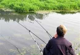 钓鱼技巧教学直播,钓鱼视频直播怎么赚钱