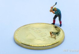 抖音上热门后的粉丝恢复策略，处理误删与后续操作指南