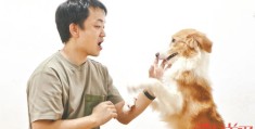教你让狗狗成为热门焦点的小技巧