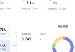 公会直播运营技巧,网络直播公会的运营做什么