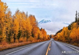 短视频拍摄教学秋天,无水印秋天短视频
