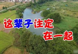 乡村风景如何上热门