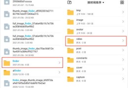 饰品视频如何走红赚钱秘籍，打造热门饰品视频攻略！