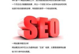 seo综合查询,seo综合查询推荐vsping