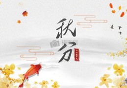 QQ附近人动态如何提升热门曝光率