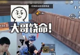 和平精英直播怎么调整技巧,和平精英直播画面全景是怎么调的