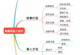 直播带货的思维方法与技巧,直播带货的思维导图