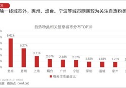 产品上热门攻略，打造热门产品的关键步骤与策略