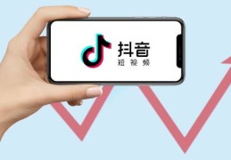 揭秘，如何用钱上热门与热搜背后的法律风险与犯罪问题解析