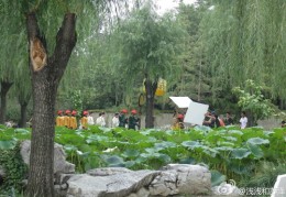 花园短视频拍摄教程及优质视频素材分享