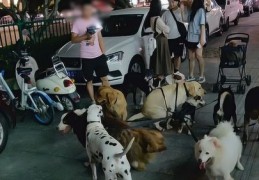 播狗直播技巧男生,直播狗狗挣钱吗