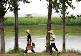 田园短视频拍摄教程，打造优美田园风光视频