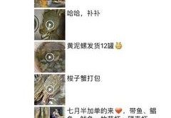 海鲜直播技巧,海鲜直播技巧视频