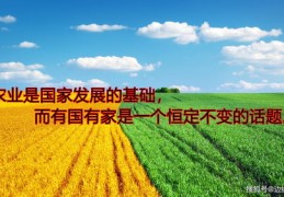 三农如何成为热门话题，策略与实践