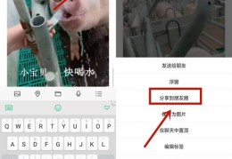 朋友圈短视频拍摄教程，掌握技巧，轻松制作爆款短视频