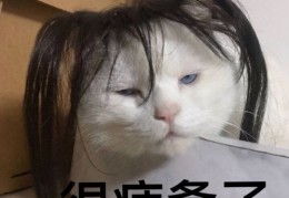 如何打造热门造型？