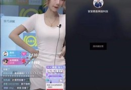 b站直播姬虚拟直播技巧,b站虚拟主播直播