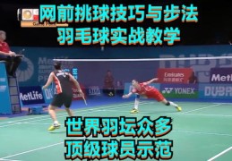 羽毛球拍直播拍卖秘籍，销售技巧大揭秘