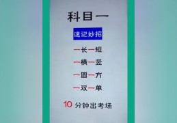 驾考技巧理论直播,驾考理论培训技巧软件