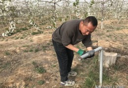 果农直播销售技巧,直播销售农产品的基本步骤