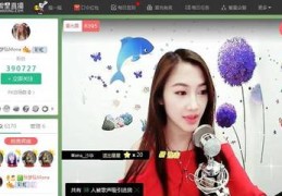 繁星直播浪漫旅程技巧,繁星直播怎么玩
