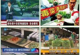农药直播技巧,农药直播技巧与方法